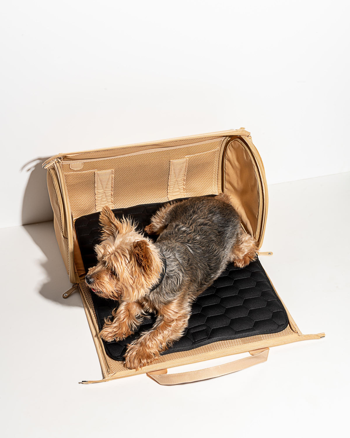 Tan | For dogs up to 16 lbs (7 kg)