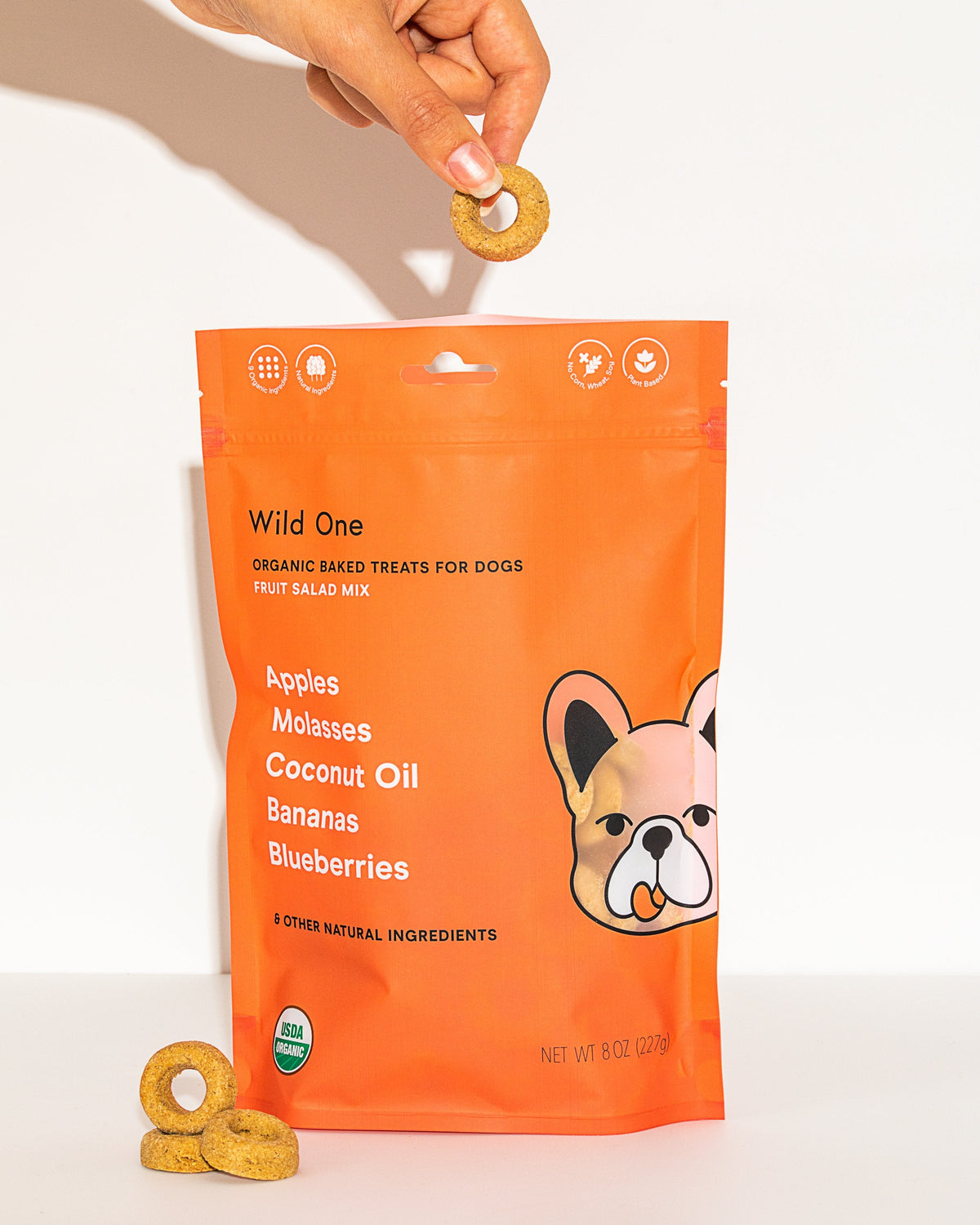 Organic Fruit Salad Treats