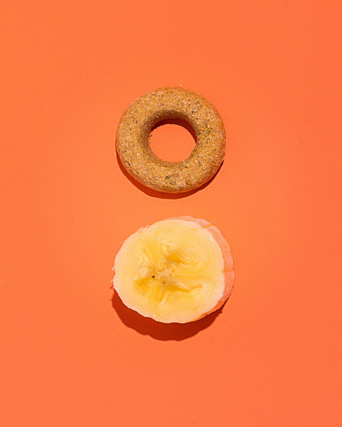 Organic Fruit Salad Treats