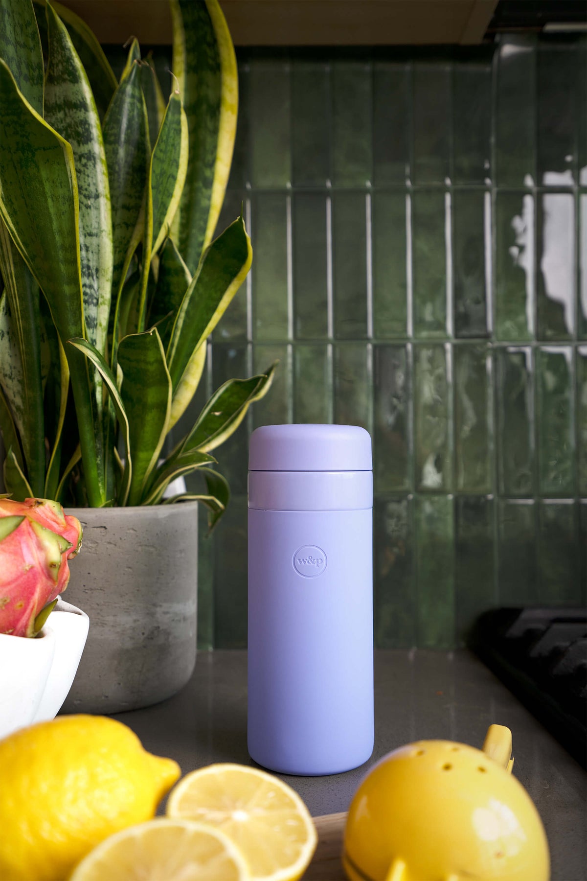 Lavender 16 oz