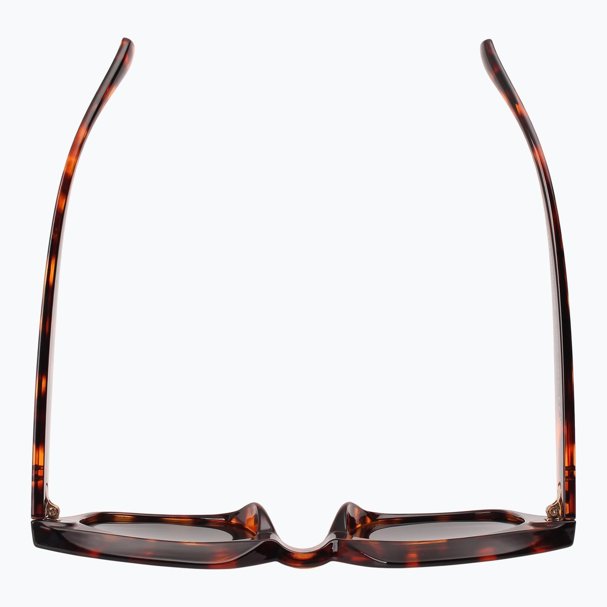 Jaxy Eclipse Square sunglasses — top view #Color_Tortoise