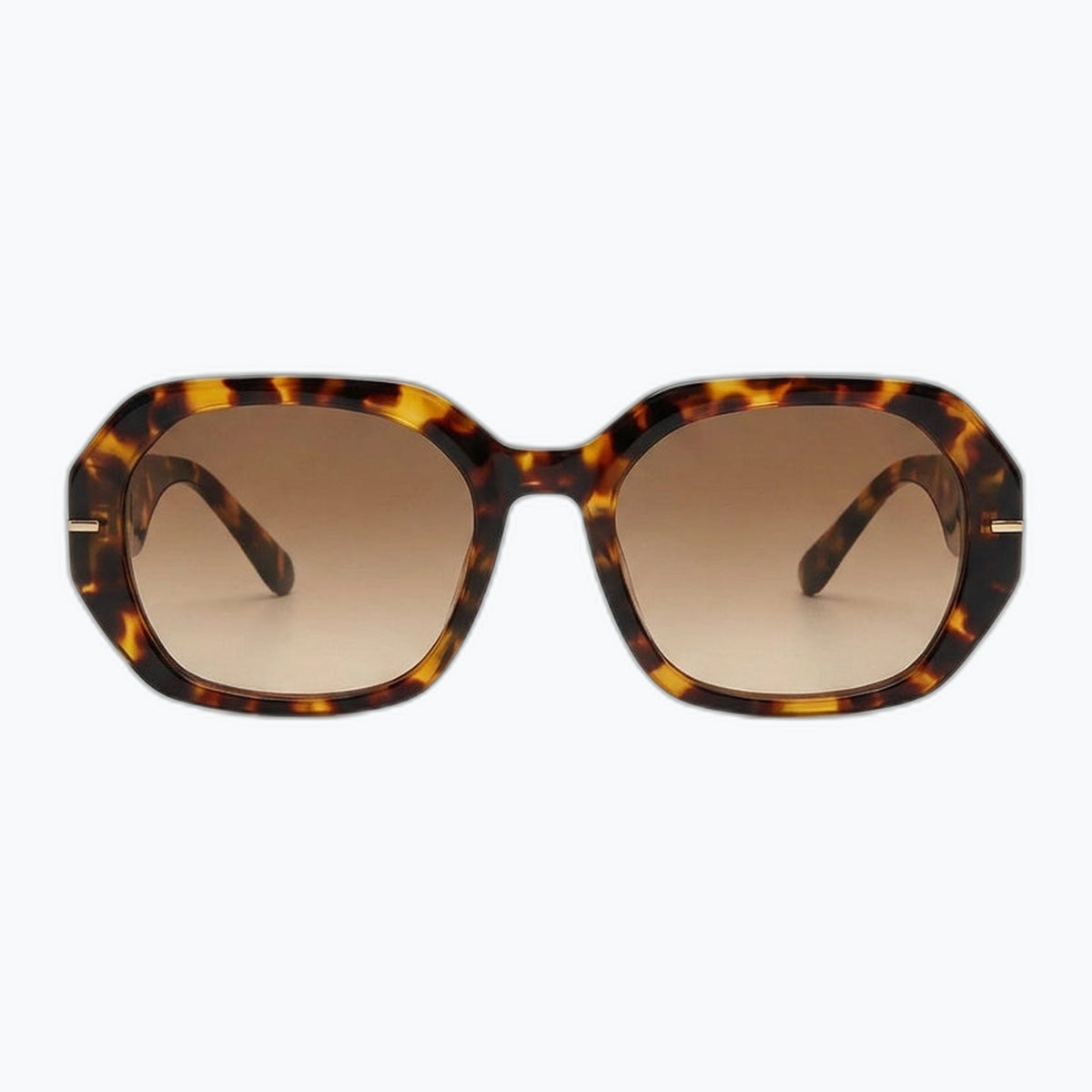Jaxy The Regent in Tortoise — Square sunglasses