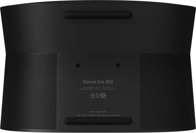 Era 300