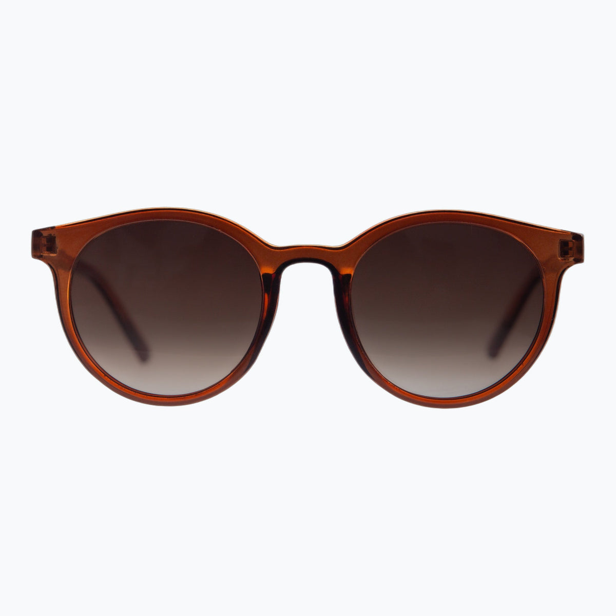 Jaxy Havana Haze in Brown — Round Polarized sunglasses #Color_Brown