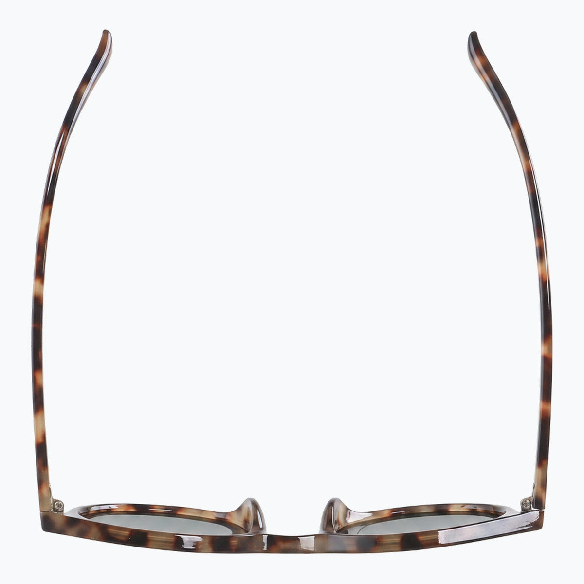 Jaxy Havana Haze Round sunglasses — top view #Color_Tortoise