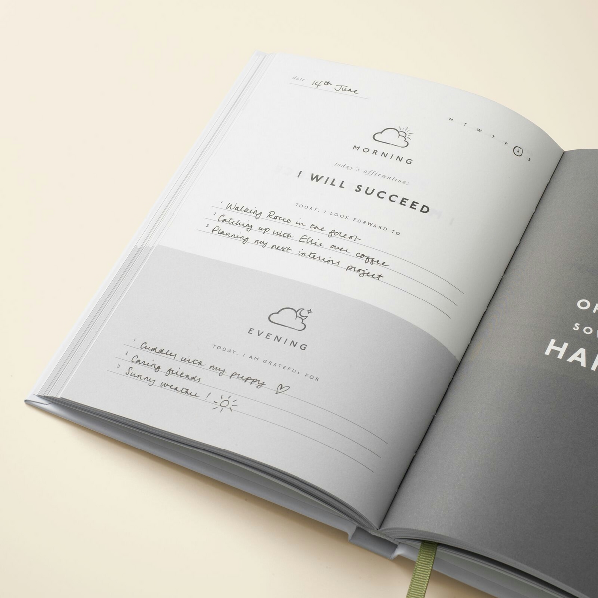Gratitude Attitude - Gratitude Journal