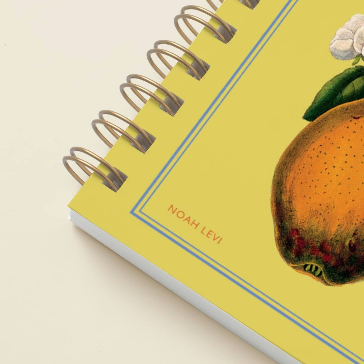 Hanging Fruits - Recipe Journal