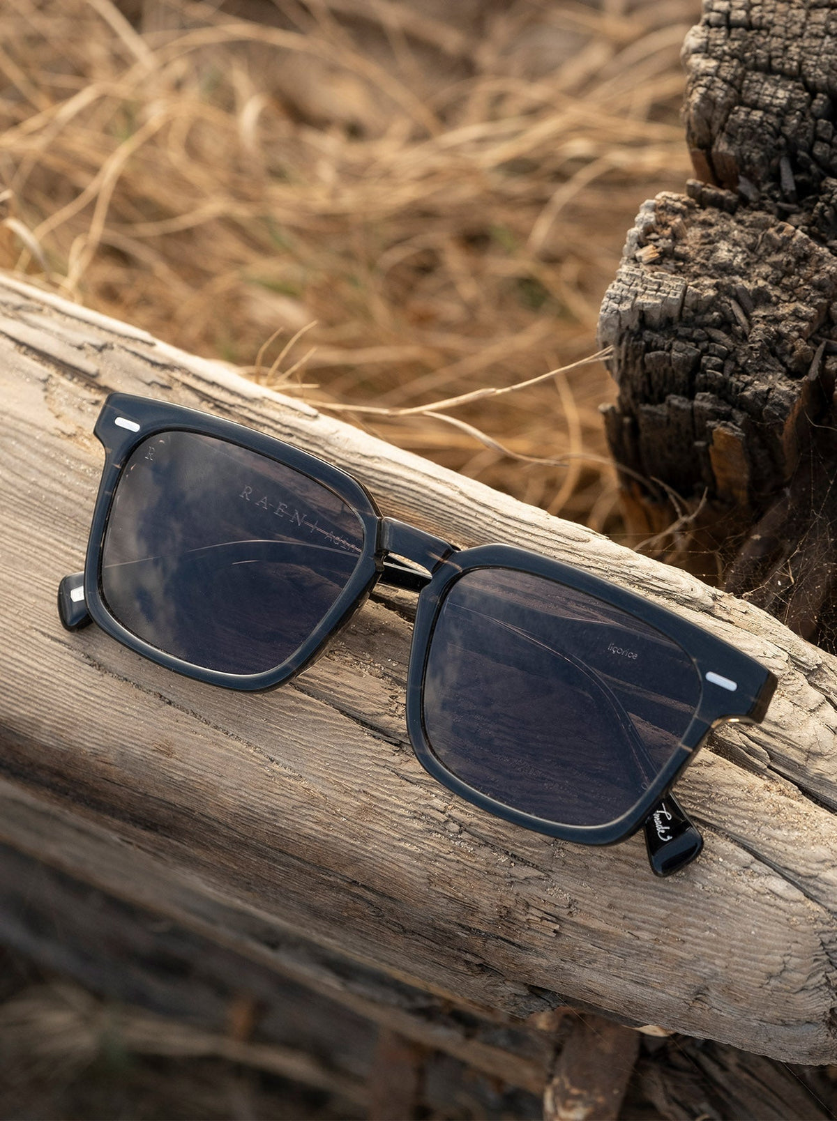 Adin Polarized