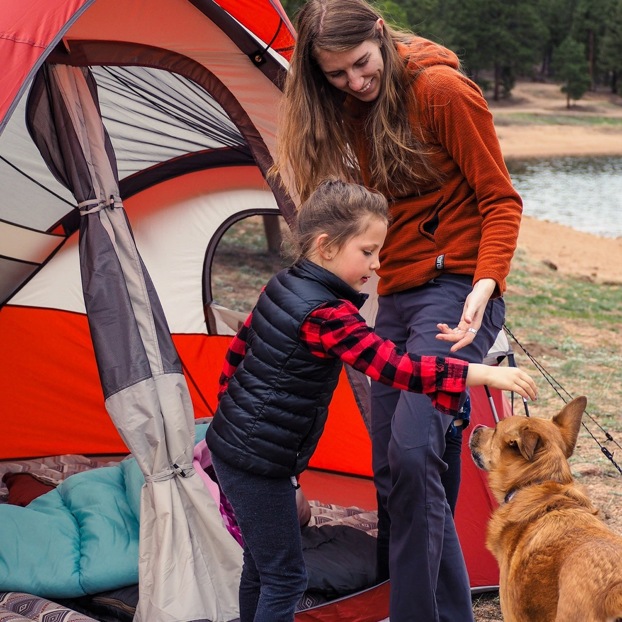 8 man dome tent Bristlecone 8 Person Dome Tent